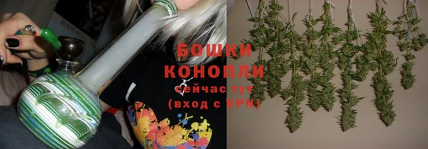 амфетамин Белокуриха