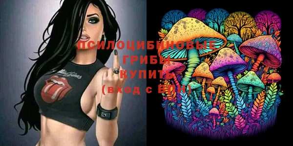 амфетамин Белокуриха