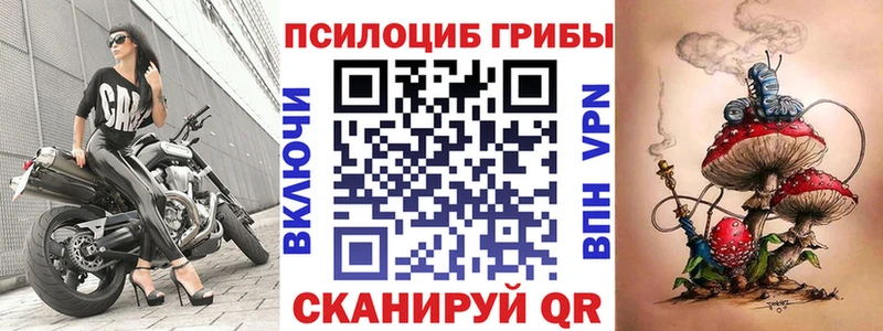 Галлюциногенные грибы Psilocybine cubensis  Волжск 